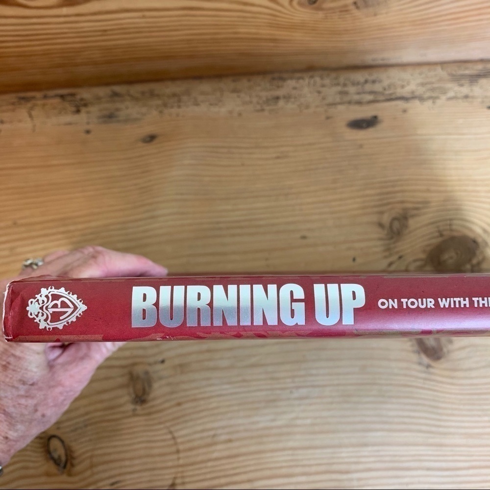 Disney Hyperion Jonas Brothers Burning Up book - Picture 14 of 16